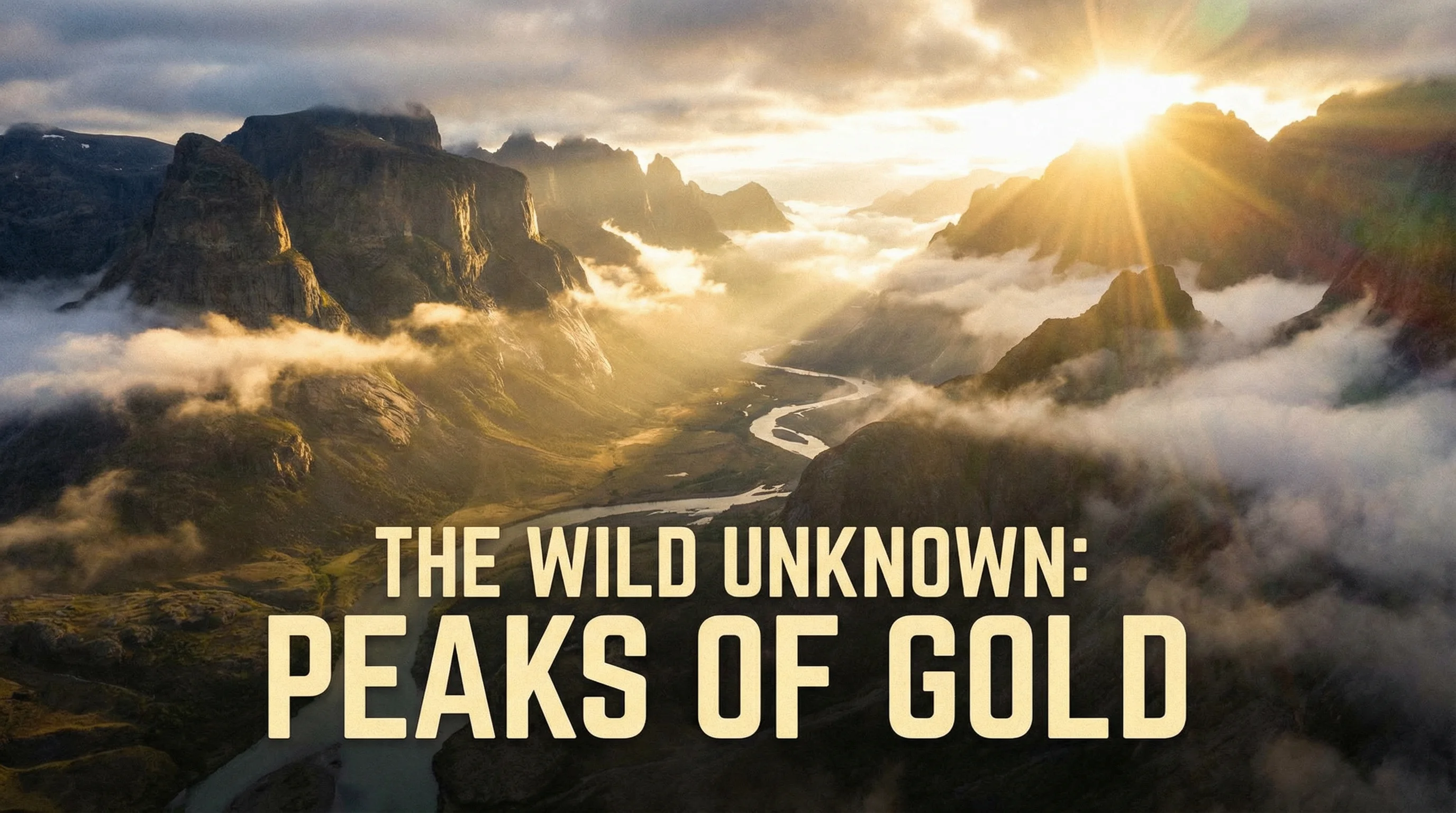 免费看片自然纪录片